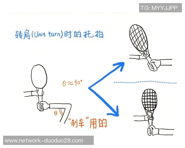 乒乓球新手必看团队协作技巧与入门指南助你快速提升球技