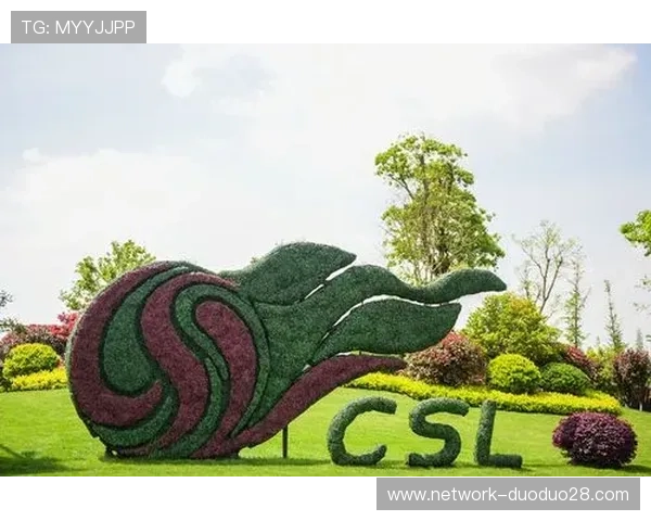 如何查看苏州超级联赛赛程及最新比赛信息详细指南